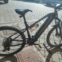 e-mtb