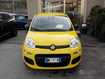 FIAT Panda MY25 - 1.0 FireFly Hybrid ICON