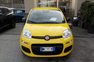 FIAT Panda MY25 - 1.0 FireFly Hybrid ICON