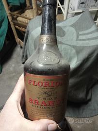 Brandy florio
