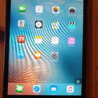 Ipad mini