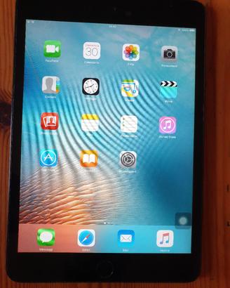 Ipad mini