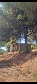 Casa indipendente arredata con terreno e pozzo