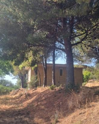 Casa indipendente arredata con terreno e pozzo