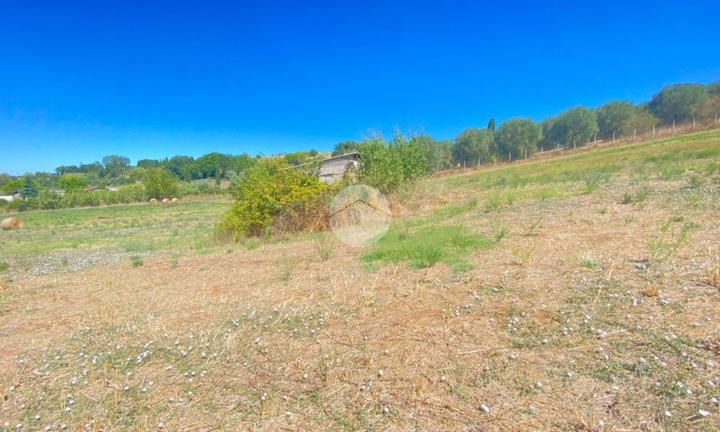 RUSTICO A PALOMBARA SABINA