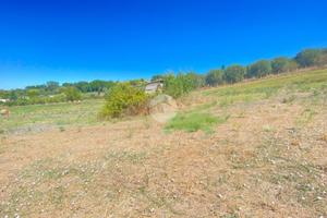 RUSTICO A PALOMBARA SABINA