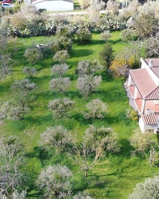 Indipendente con agibilità e 6000 mq di giardino