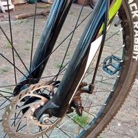 MTB pedalata assistita