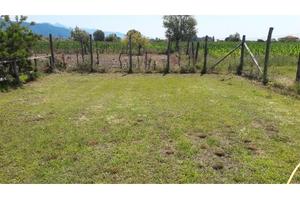 Terreno agricolo