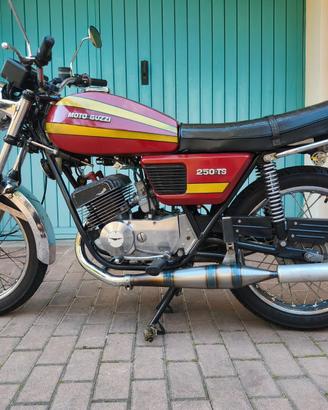 marmitte per guzzi/benelli 250 2c 