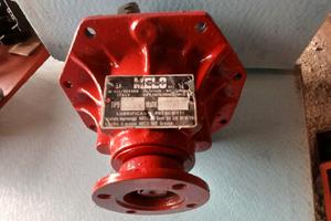 Ponte differenziale melo