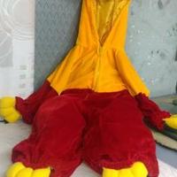 Costume Winnie the Pooh