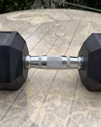 Un Solo Manubrio 10 kg