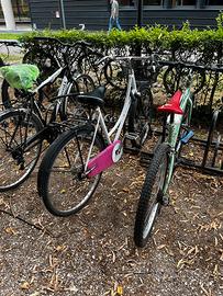 Bici 24 pollici