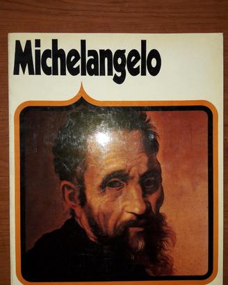 Michelangelo arnoldo mondadori editore, come nuovo