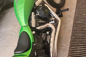 Harley Davidson Heritage Spingher