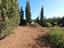 Immagine 14