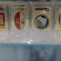 SCUDETTI PANINI 1991-92