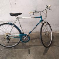 Bianchi sport uomo