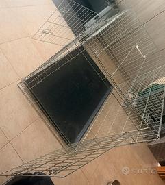 Kennel