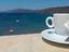 Immagine 19