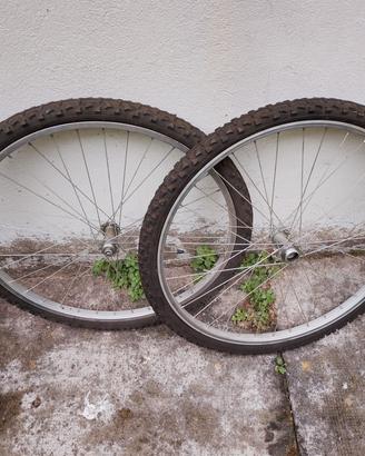 biciclette 