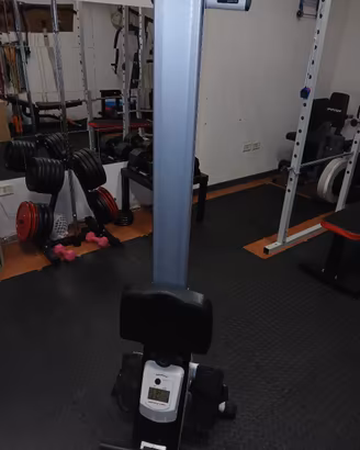 vogatore pieghevole palestra home gym fitness 