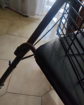 Carrello per anziani