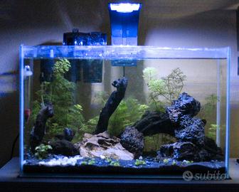 Acquario completo