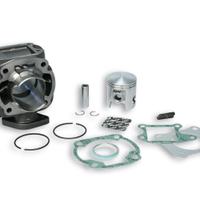 Gruppo termico malossi kymko