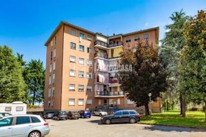 BILOCALE IN ZONA PESCARITO