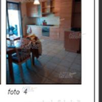 Appartamento Colli al Metauro [A4342818]