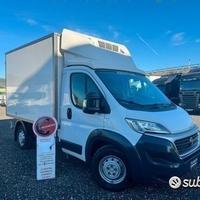 Fiat ducato maxi Cella frigo 3.00 Mt -2014 E5