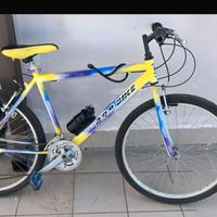 Mountain bike telaio 24
