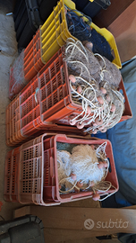 Reti da pesca tremaglio seppie triglie