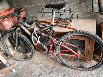  2 biciclette Mountain bike 