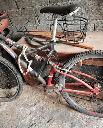  2 biciclette Mountain bike 