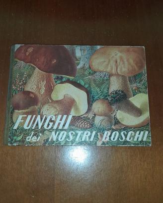 LIBRO DEI FUNGHI DI " ITALO GRETTER "