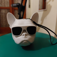 Cassa speaker bluetooth Bulldog