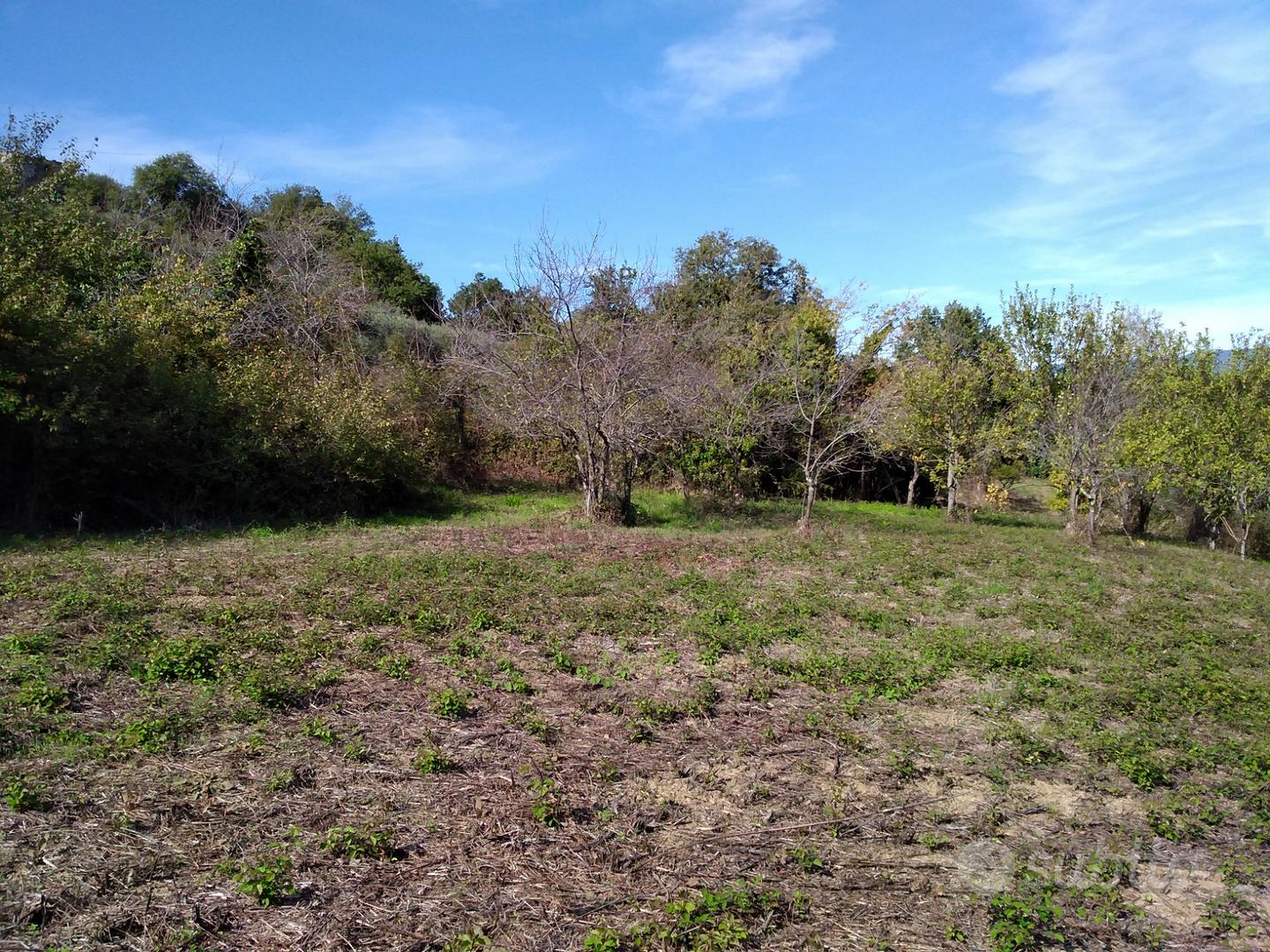 Terreno agricolo di 2,2 ettari con 2 ruderi - Vista 3