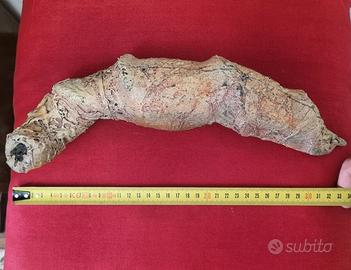 Custom Aliens Xenomorph Queen Alien Egg Sack Ovopo