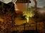 Immagine 19