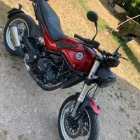 Benelli leoncino 500 trail