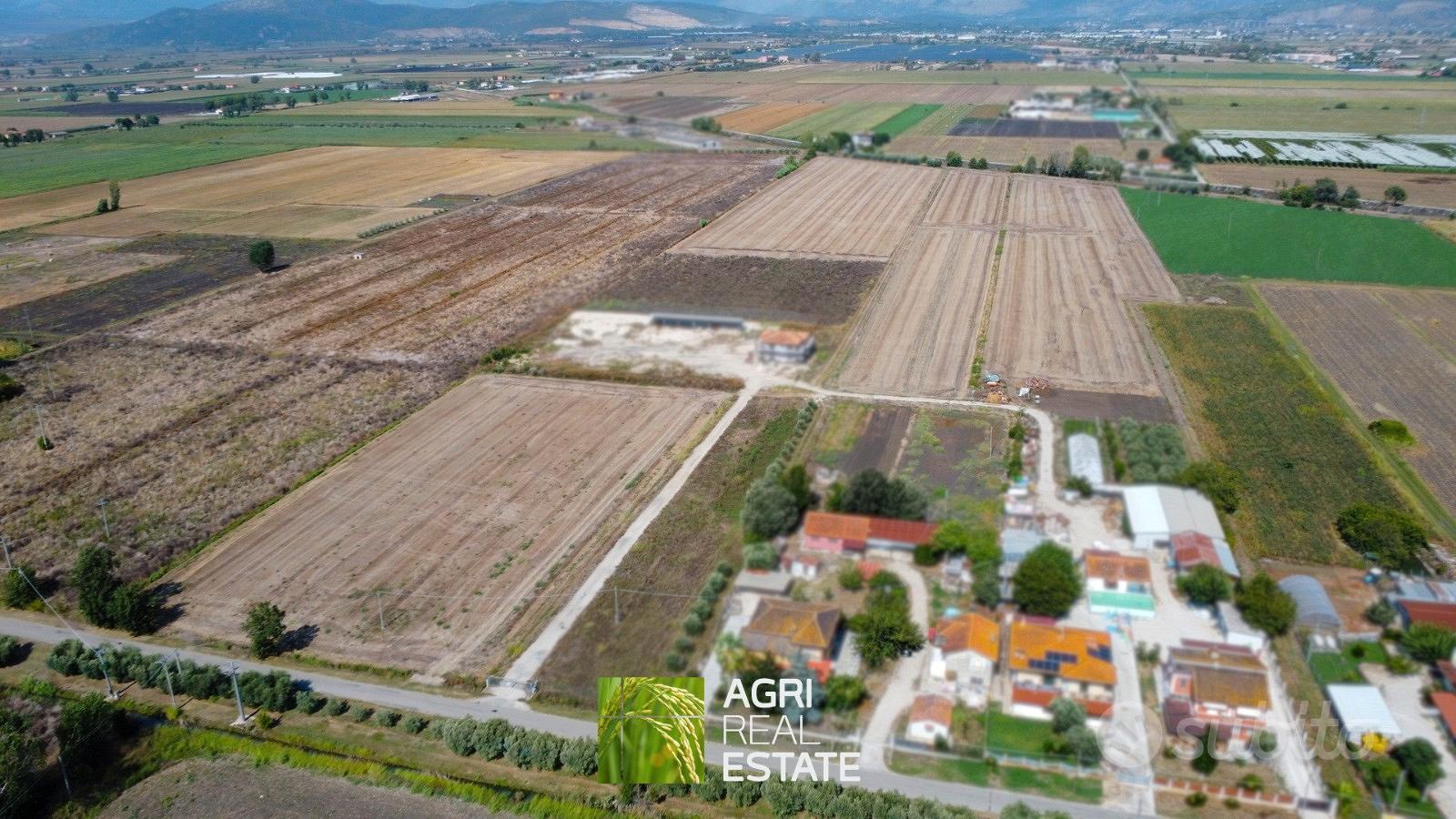 Terreno agricolo pianeggiante 8 HA fronte strada - Vista 2
