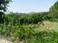 Immagine 26