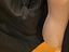 Immagine 6