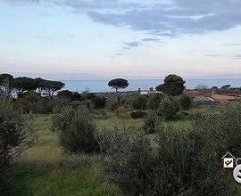 Spartà, terreno di mq 1400 pianeggiante