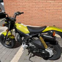 Suzuki 50 Street Magic