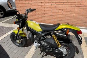 Suzuki 50 Street Magic