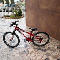 Mountainbike per bambino dagli 8 ai 13 anni